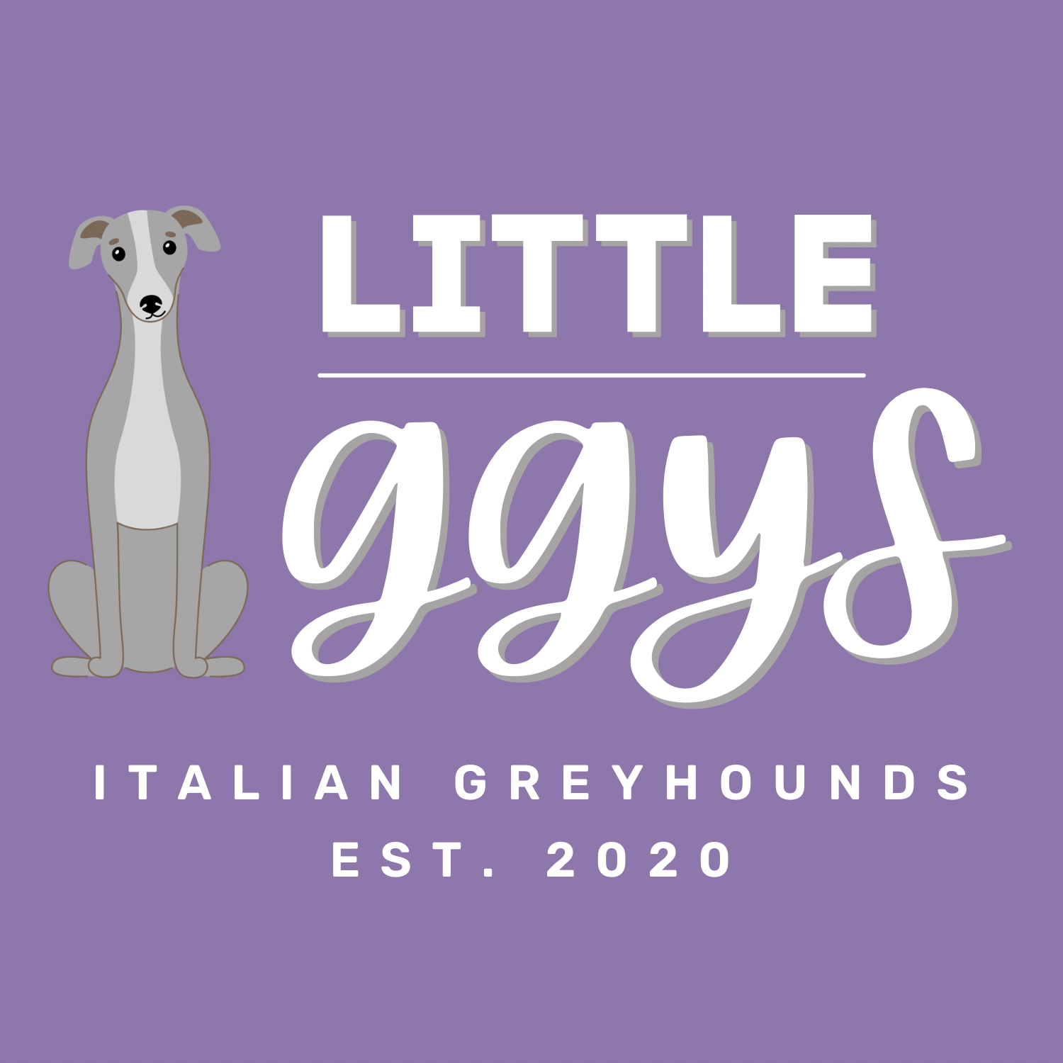 Little Iggys logo