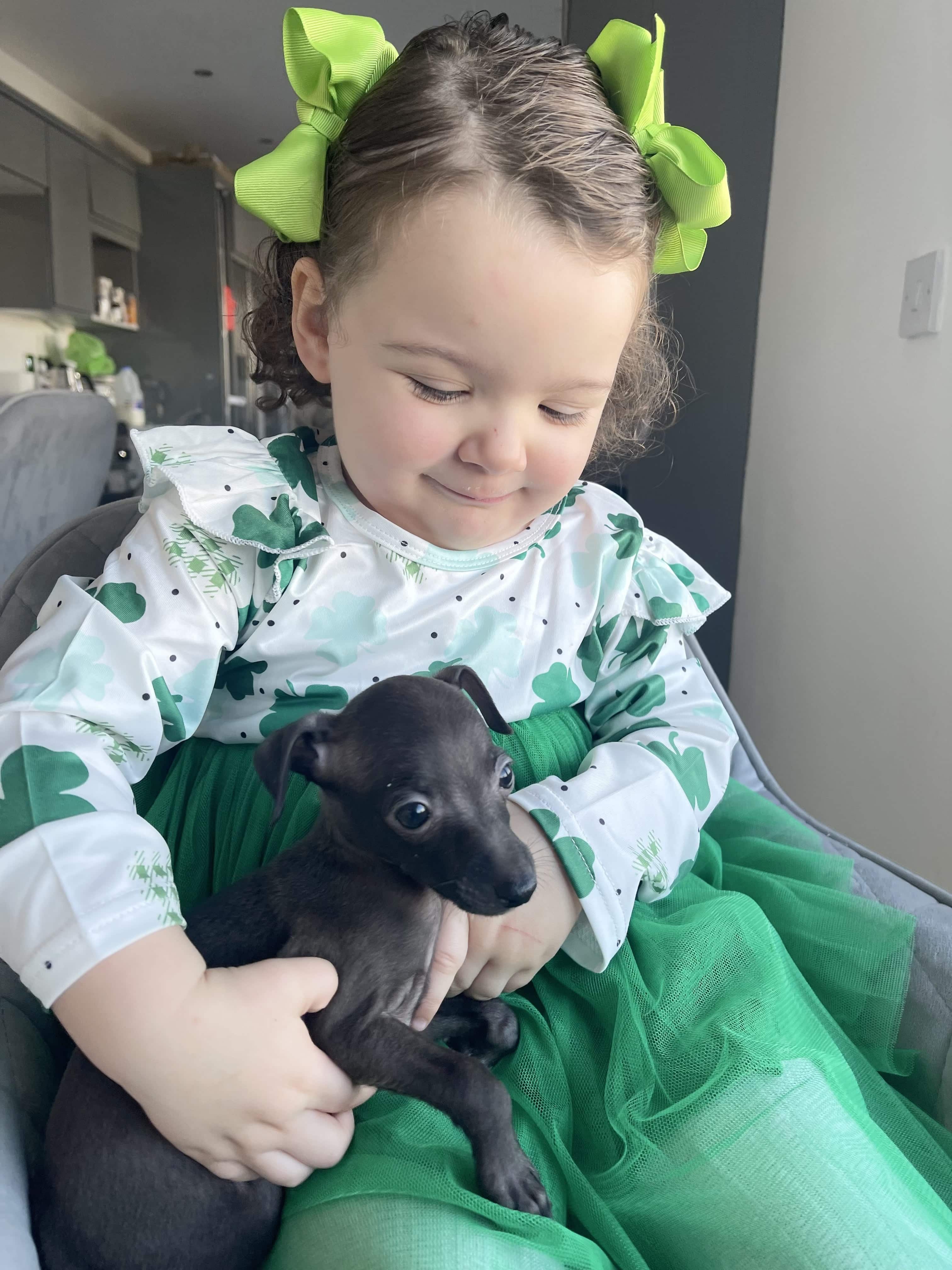 9461A5B9-B1A5-4370-97CD-CDCF5F5279C0